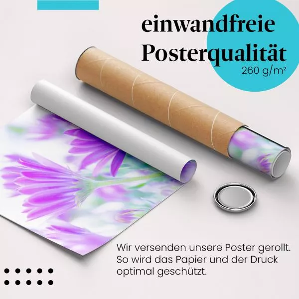 Lila Blumen: Volle Blüte | Postereck 1427 Lila Blumen: Volle Blüte | Postereck 1427