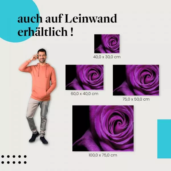 Geheimnisvolle Eleganz: Lila Rose | Postereck 0023 Geheimnisvolle Eleganz: Lila Rose | Postereck 0023