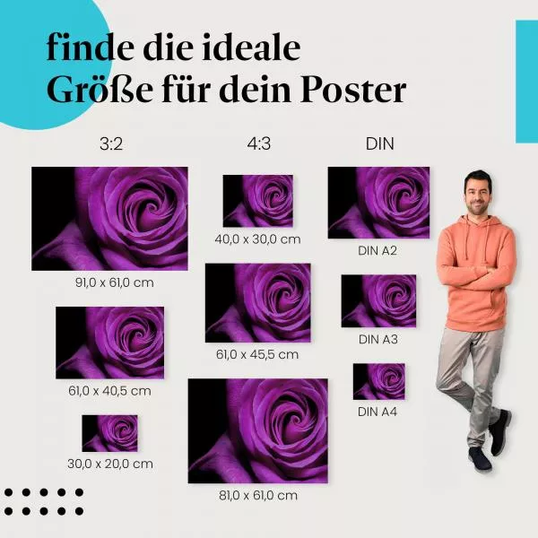 Geheimnisvolle Eleganz: Lila Rose | Postereck 0023 Geheimnisvolle Eleganz: Lila Rose | Postereck 0023