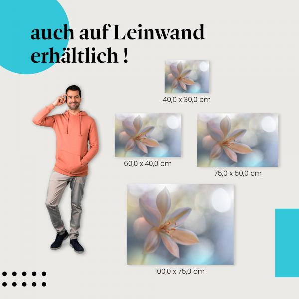 Lilie: Leinwandbild. Pastell, Bokeh, elegant.