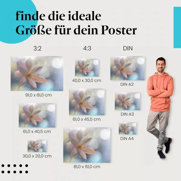 Lilie | Postereck 3815 Lilie | Postereck 3815