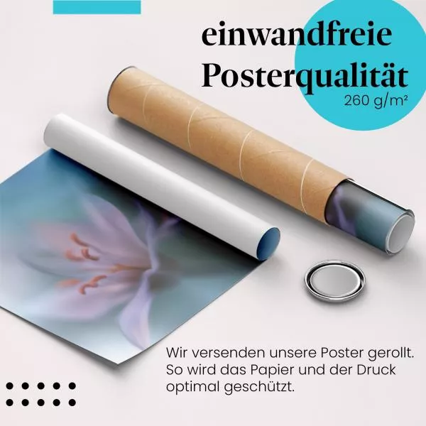 Zarte Lilien | Postereck 3805 Zarte Lilien | Postereck 3805