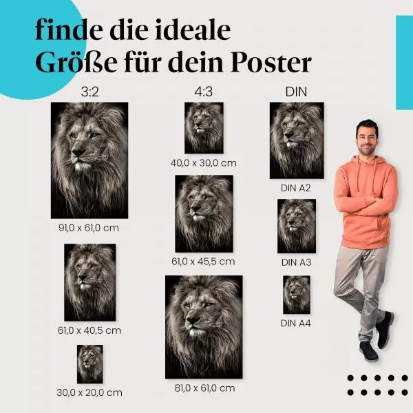 Löwe in Schwarz-Weiß | Postereck 2502 Löwe in Schwarz-Weiß | Postereck 2502