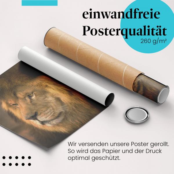 Gerolltes Poster "Löwe". König der Tiere, sicher verpackt.