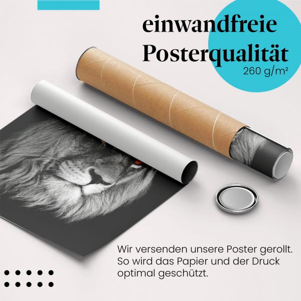 "Löwenportrait": Gerolltes Poster - majestätisch.