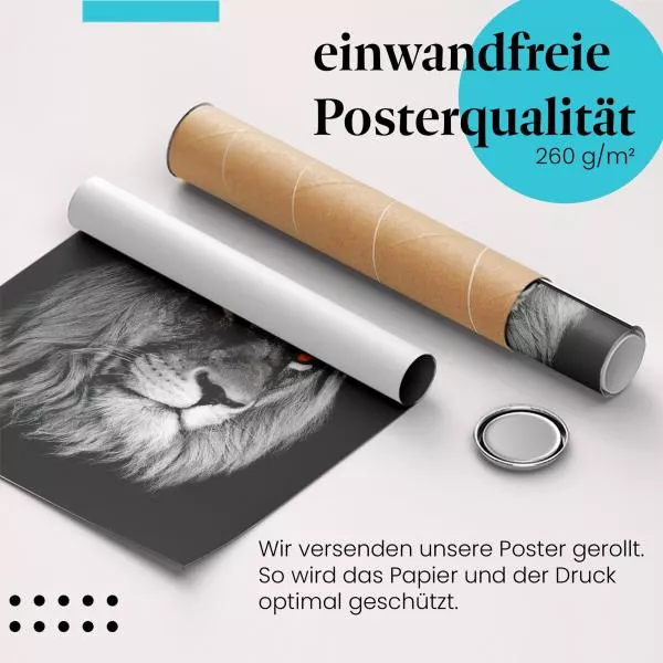 Majestätischer Löwe: König der Tiere | Postereck 0205 Majestätischer Löwe: König der Tiere | Postereck 0205