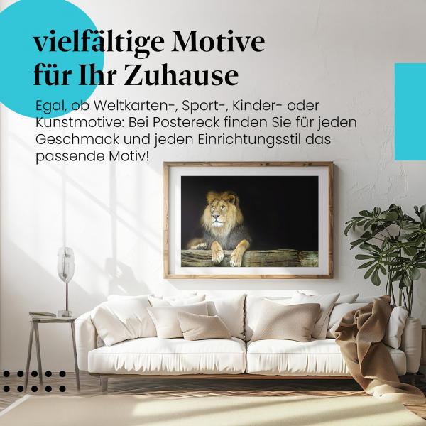 Leinwandbild "Ruhende Löwen": Majestätischer Löwe im Schatten - Ruhe & Stärke.