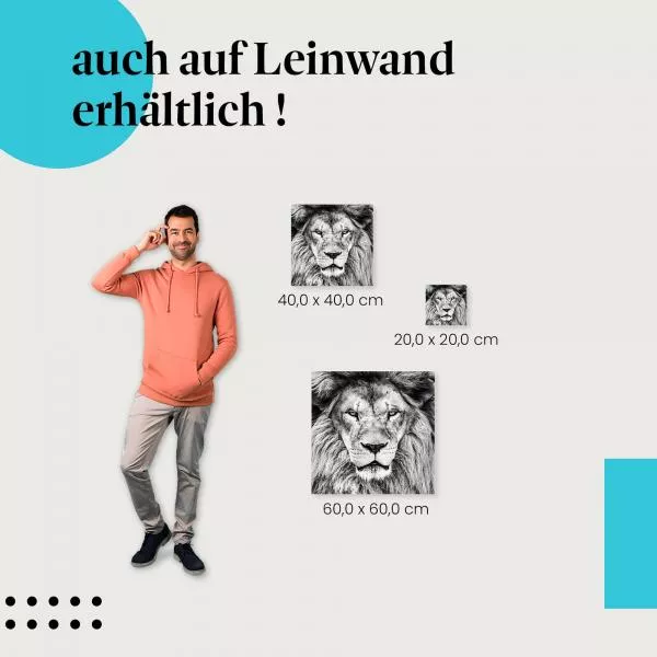 Majestätischer Löwe | Postereck 2297 Majestätischer Löwe | Postereck 2297