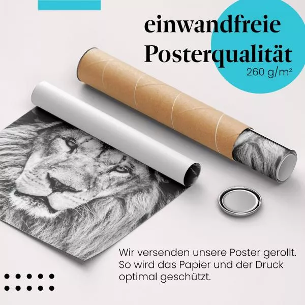 Majestätischer Löwe | Postereck 2297 Majestätischer Löwe | Postereck 2297