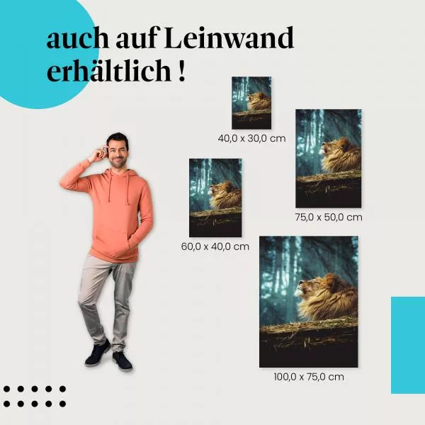 Löwe auf Baumstamm | Postereck 3683 Löwe auf Baumstamm | Postereck 3683