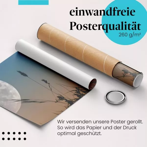 Löwenzahnzauber | Postereck 0934 Löwenzahnzauber | Postereck 0934