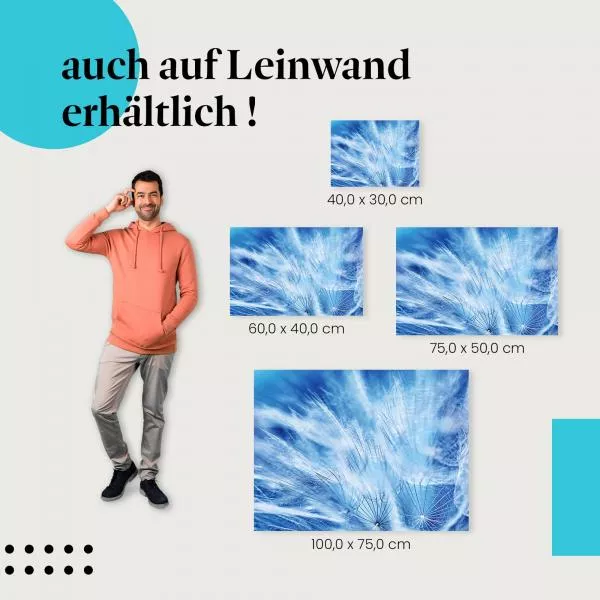 Abstrakte Schönheit: Löwenzahnsamen | Postereck 1324 Abstrakte Schönheit: Löwenzahnsamen | Postereck 1324