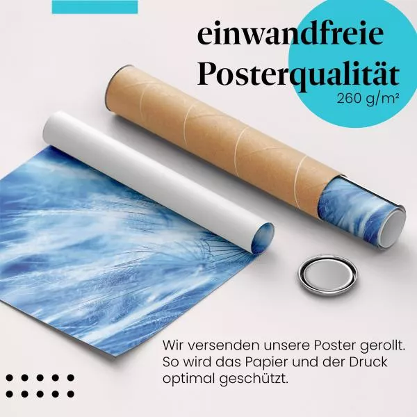 Abstrakte Schönheit: Löwenzahnsamen | Postereck 1324 Abstrakte Schönheit: Löwenzahnsamen | Postereck 1324