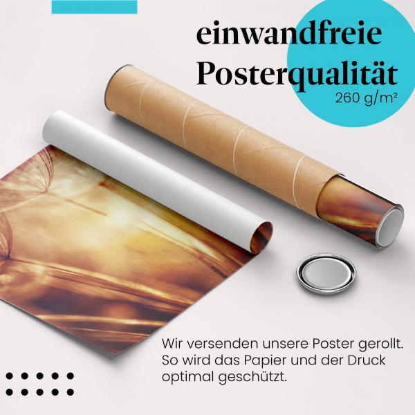 "Löwenzahnsamen": Gerolltes Poster - Licht, Vergänglichkeit.