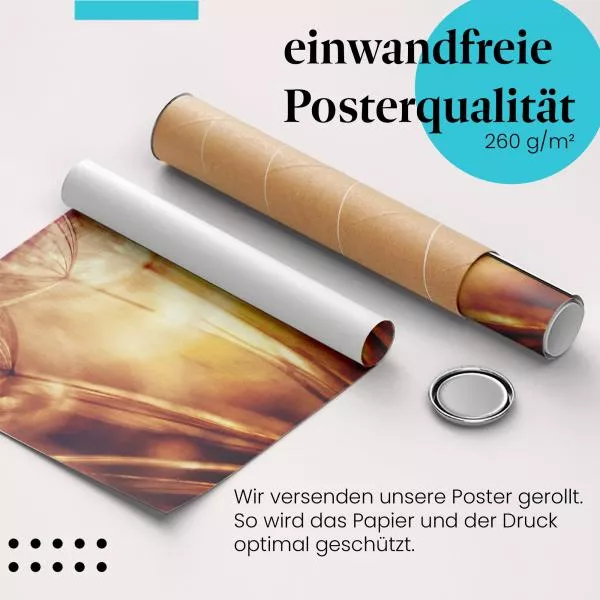 Vergänglichkeit: Löwenzahnsamen | Postereck 1303 Vergänglichkeit: Löwenzahnsamen | Postereck 1303