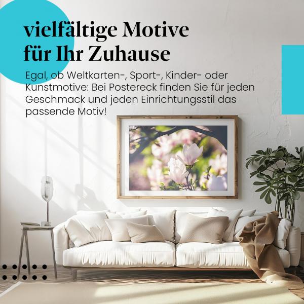 Leinwandbild "Magnolienblüten": Abendsonne, Gegenlicht - romantische Stimmung.