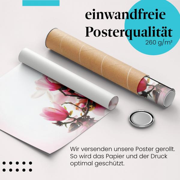 Gerolltes Poster "Magnolienblüten" - Frühlingserwachen, sicher verpackt.