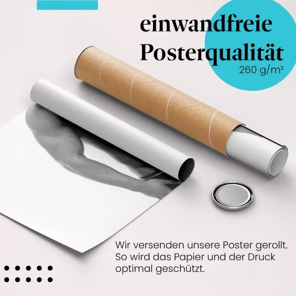 Sixpack | Postereck 3721 Sixpack | Postereck 3721
