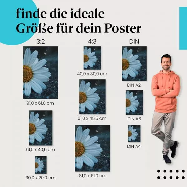Margerite auf Asphalt | Postereck 2850 Margerite auf Asphalt | Postereck 2850