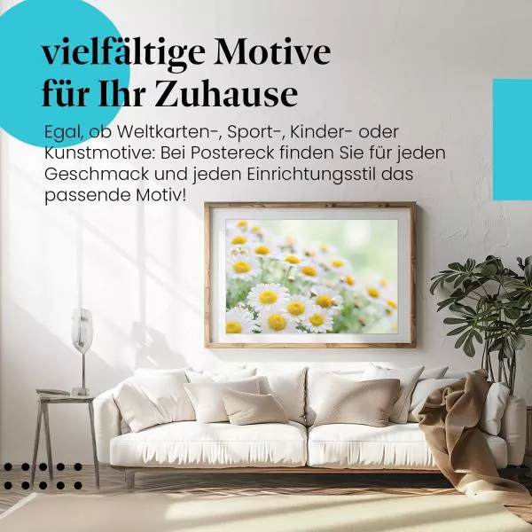 Margeritenmeer | Postereck 3239 Margeritenmeer | Postereck 3239