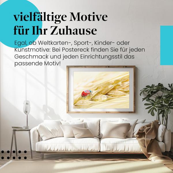 Leinwandbild "Marienkäfer": Getreideähre, Wassertropfen - Sommer & Natur.