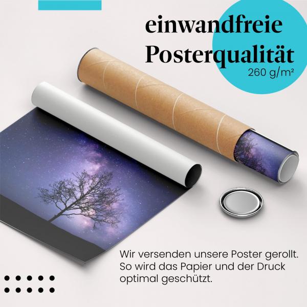 Gerolltes Poster "Milchstraße & Baum" - Magischer Nachthimmel, sicher verpackt.