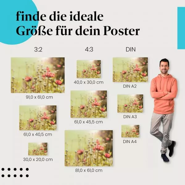 Rote Mohnblumen | Postereck 2165 Rote Mohnblumen | Postereck 2165