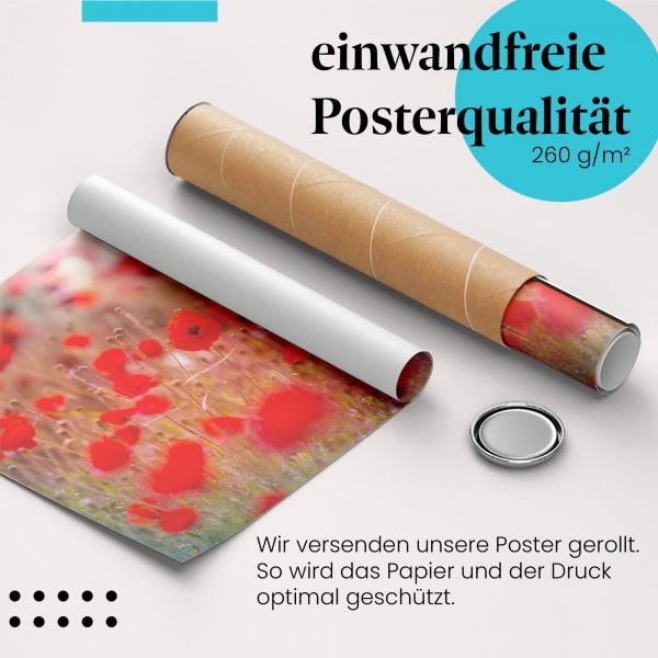 Gerolltes Poster "Mohnblumenfeld". Sommer & Natur, sicher verpackt.
