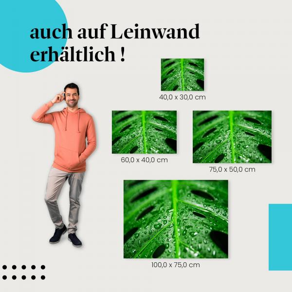 Monstera-Blatt: Leinwandbild. Wassertropfen, Grün, erfrischend, wähle deine Größe!
