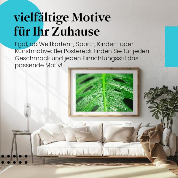Leinwandbild "Monstera-Blatt": Tropisches Flair, frische Wassertropfen - ein Hingucker!