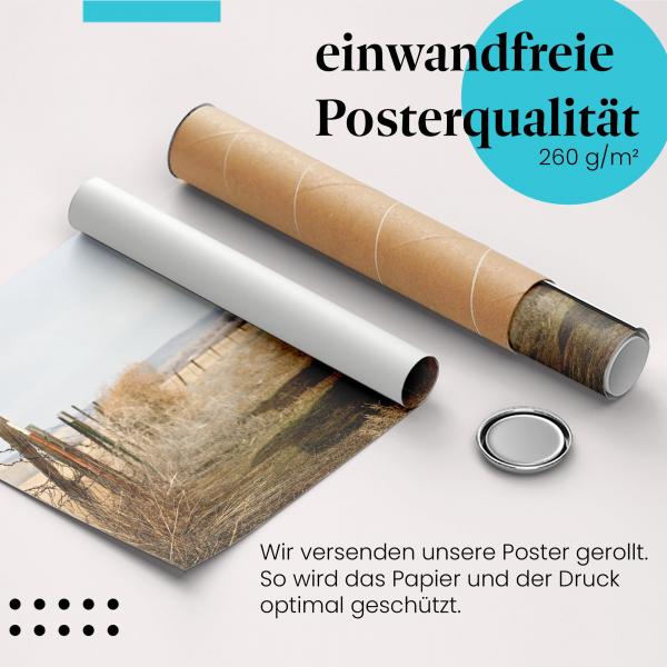 "Alte Autos": Gerolltes Poster - Rost & Nostalgie am Wegesrand. Sicher verpackt.