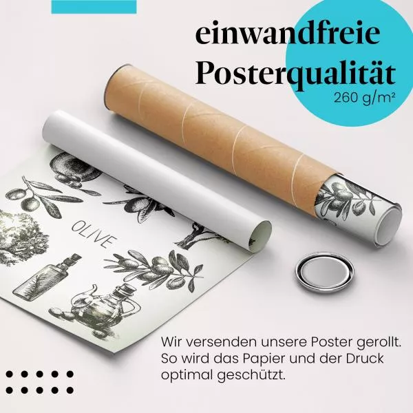 Oliven Illustrationen | Postereck 2238 Oliven Illustrationen | Postereck 2238