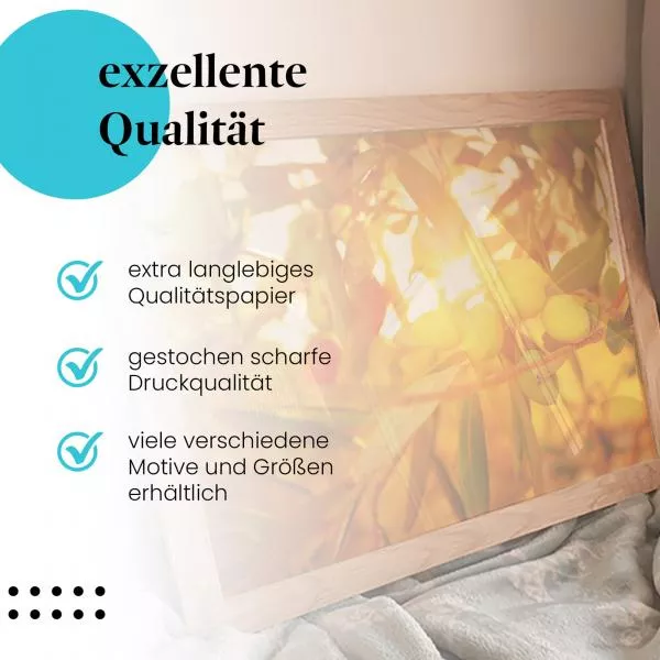 Olivenhain: Goldene Stunde | Postereck 1434 Olivenhain: Goldene Stunde | Postereck 1434