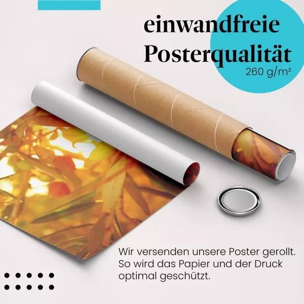 Olivenhain: Goldene Stunde | Postereck 1434 Olivenhain: Goldene Stunde | Postereck 1434