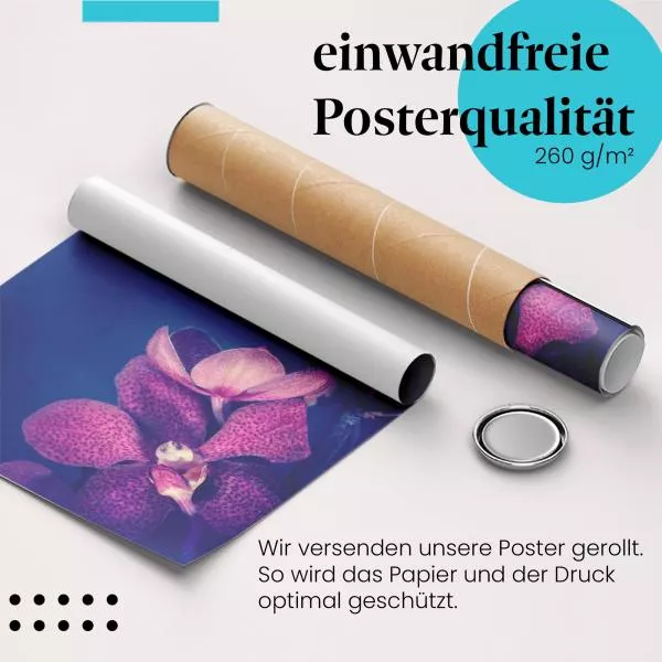 Orchidee: Exotisch, Lila | Postereck 1525 Orchidee: Exotisch, Lila | Postereck 1525