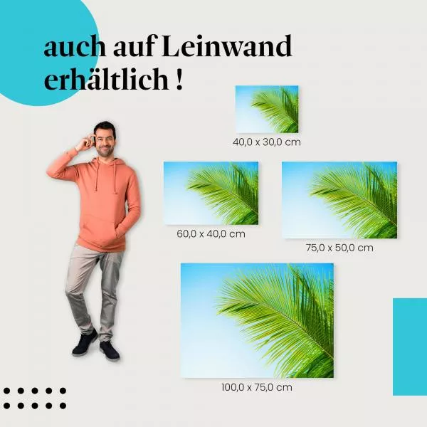 Palme & blauer Himmel | Postereck 3826 Palme & blauer Himmel | Postereck 3826