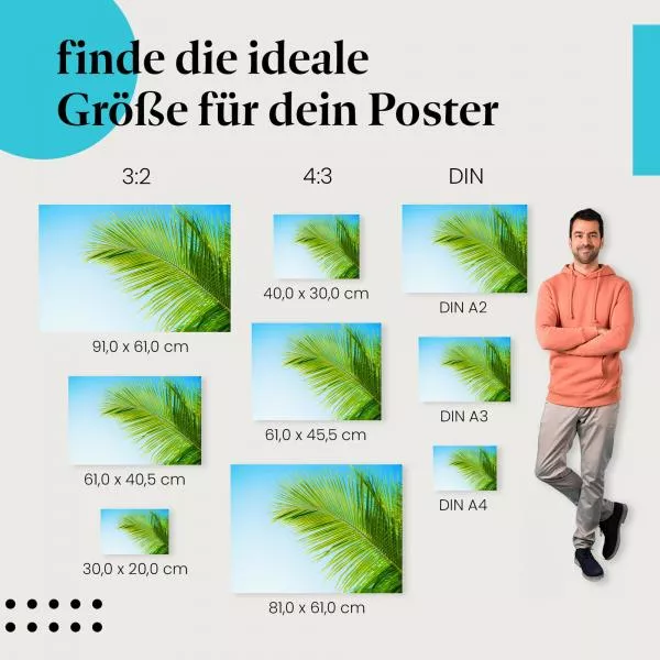 Palme & blauer Himmel | Postereck 3826 Palme & blauer Himmel | Postereck 3826