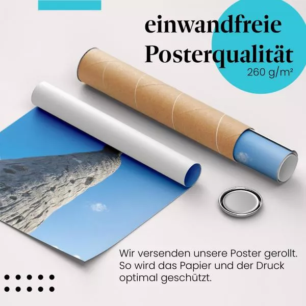Palme im Wind | Postereck 3492 Palme im Wind | Postereck 3492