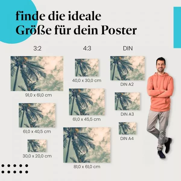 Kokospalme | Postereck 3126 Kokospalme | Postereck 3126