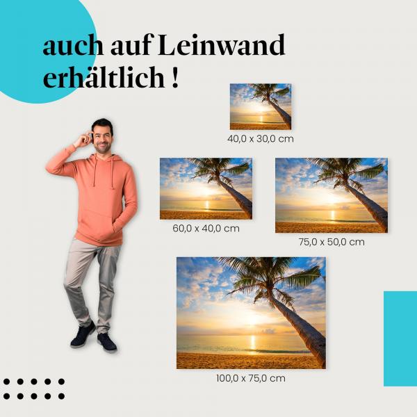 Palme am Strand: Leinwandbild. Sonnenuntergang, warme Farben.