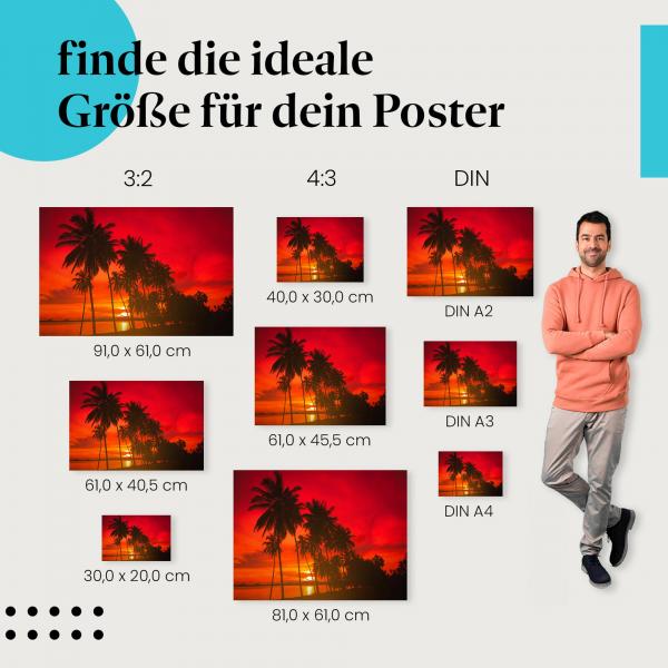 Palmen, Poster: Silhouette, Strand, Sonnenuntergang, rot.