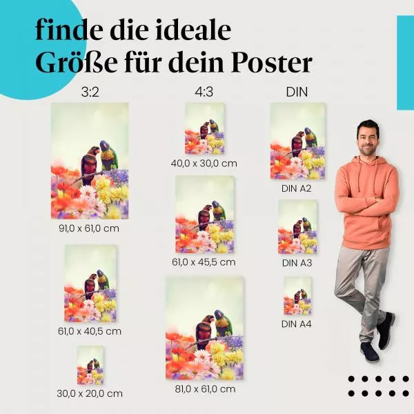 Liebe liegt in der Luft: Papageien | Postereck 1529 Liebe liegt in der Luft: Papageien | Postereck 1529