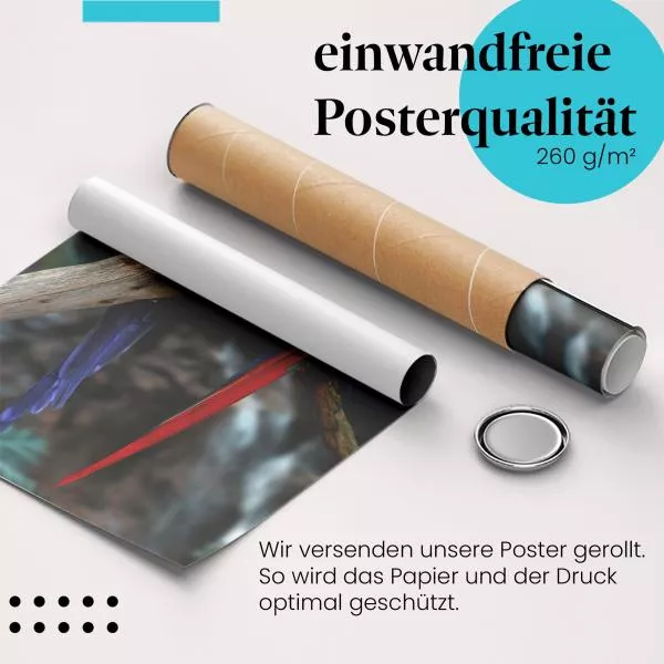 Farbenprächtige Papageien: Tropischer Regenwald | Postereck 0211 Farbenprächtige Papageien: Tropischer Regenwald | Postereck 0211