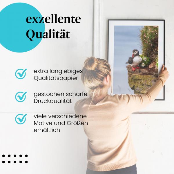Gerahmtes Bild "Papageientaucher". Vogel, Klippe, Pflanzen, Blüten.