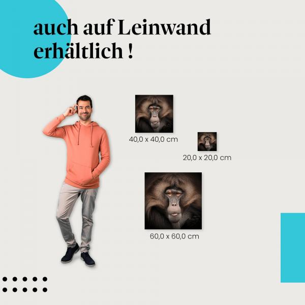 Pavian: Leinwandbild. Nahaufnahme.