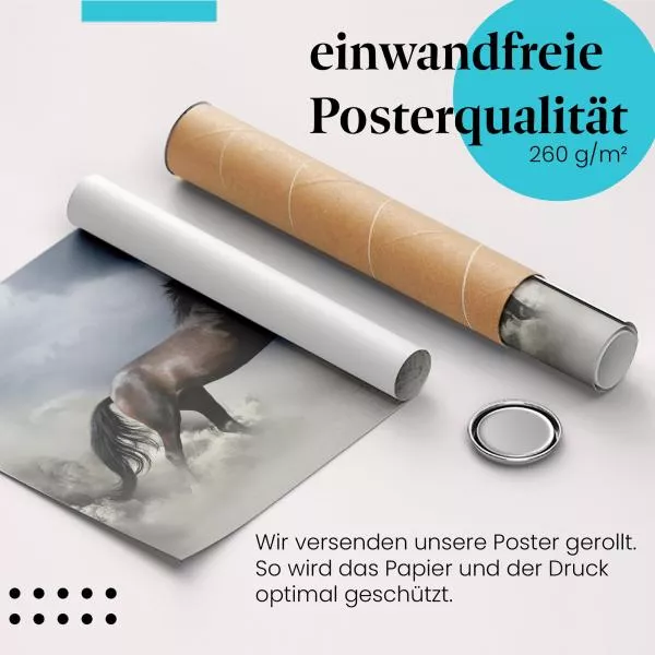 Wildes Pferd | Postereck 2913 Wildes Pferd | Postereck 2913