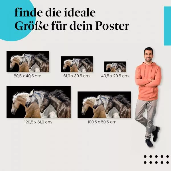 Galoppierende Pferde | Postereck 3564 Galoppierende Pferde | Postereck 3564