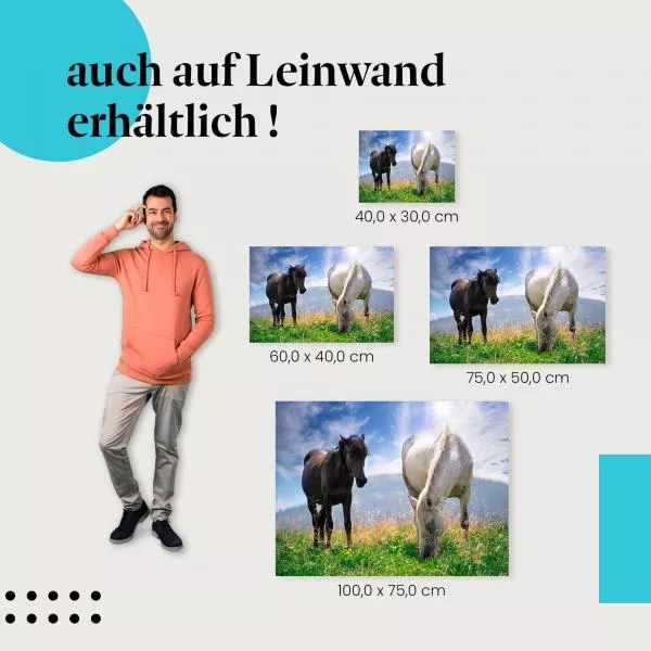 Schwarz & Weiß | Postereck 2955 Schwarz & Weiß | Postereck 2955