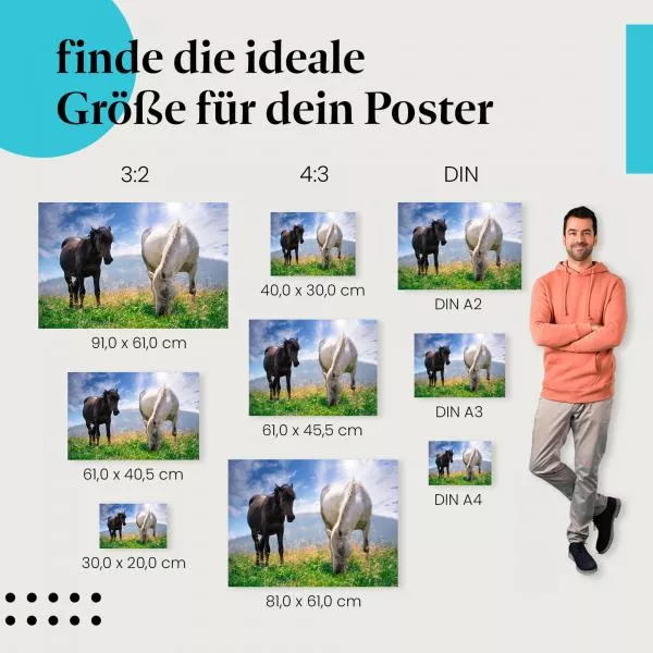 Schwarz & Weiß | Postereck 2955 Schwarz & Weiß | Postereck 2955
