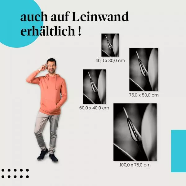 Abstrakte Pflanze | Postereck 2373 Abstrakte Pflanze | Postereck 2373